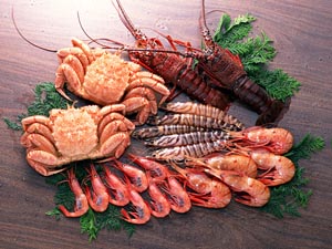 pratocomcrustaceos.jpg